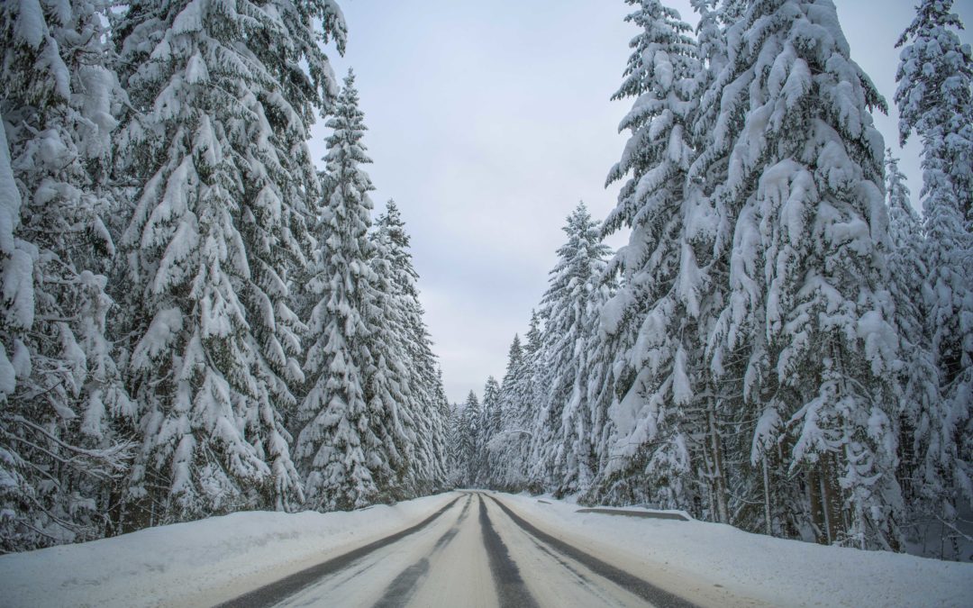 Scenic winter road